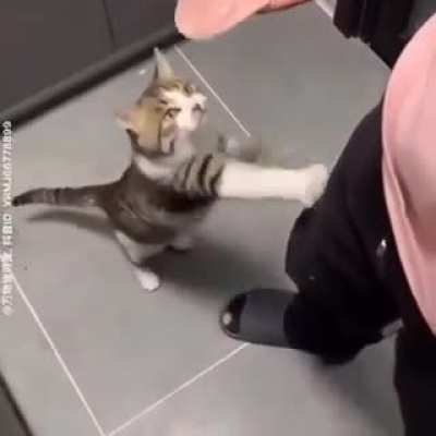 Hey guys can i get some karma?