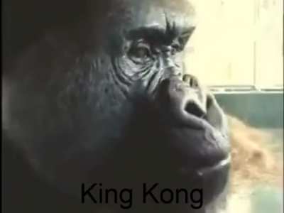 Title