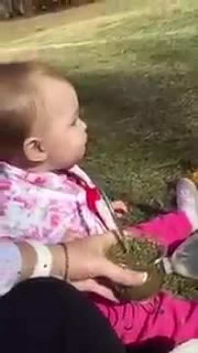 T&aacute; pooooooooooooooooooooooooooooooooooooooooora meno ajuda ajuda pelo amor de Deus