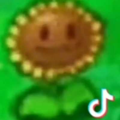 As outras plantas defendendo carinha enquanto isso o girassol: