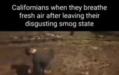 California🤢🤮shitpos