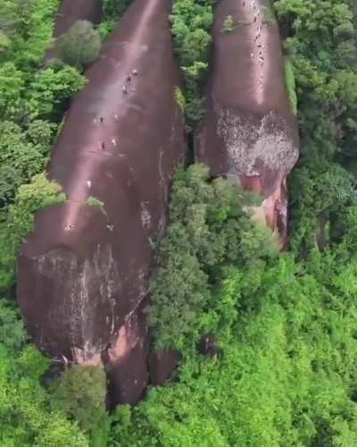 They are natural sandstone formations roughly 75 million years old, shaped by erosion into elongated whale-like shapes. From above they look like a family of whales (two adults and a calf) rising from a sea of trees. The largest is about 75-100 meters lon