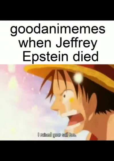 Average goodanimememes user