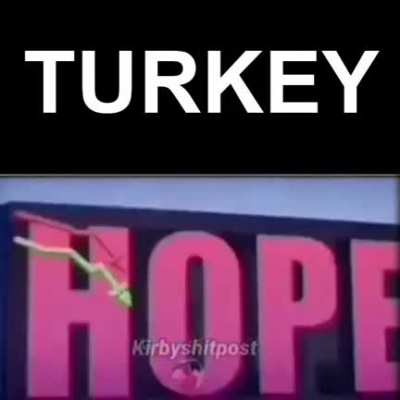 Turkroach economy