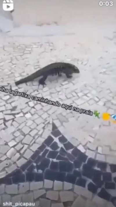 Ele simplesmente decolou