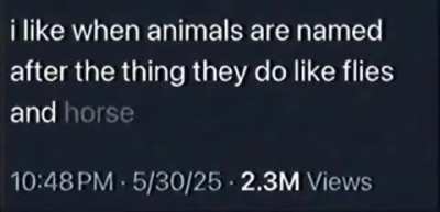 those sluts