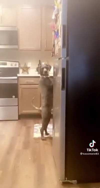 &ldquo;I have a casserole in the oven&rdquo;