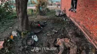 Operations of Ukrainian forces around Starytsia near Vochansk, Kharkiv Oblast, June 2024