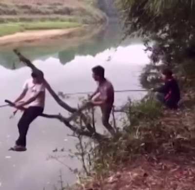 Not sure who&rsquo;s worse, guy on the branch or the one kicking it...