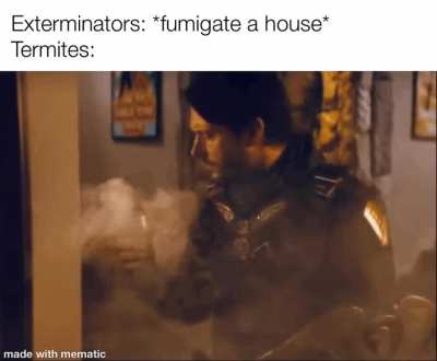 That&rsquo;s that wood shit