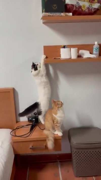He&rsquo;s doing pullups