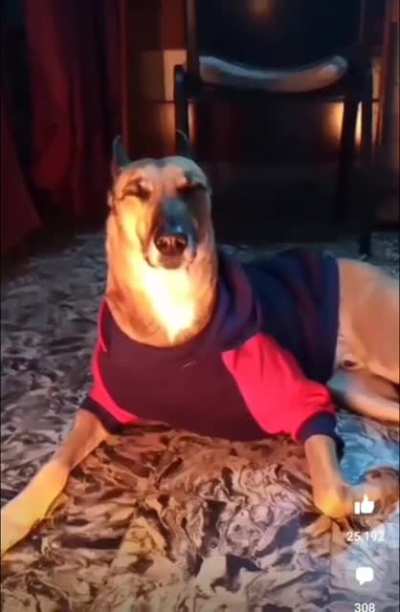 soy un pastelito horneado de canela
