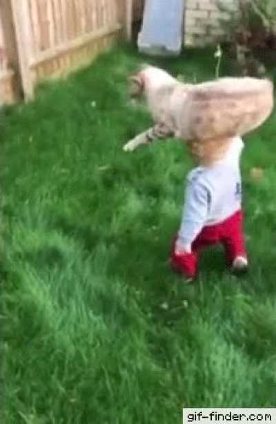 Screw your kitty relaxation. I'm gonna whip you with this branch!!