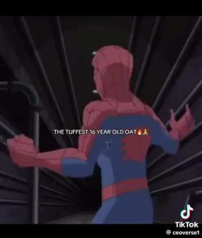 SPECTACULAR SPIDEY IS SO TUFF 🗣️🔥