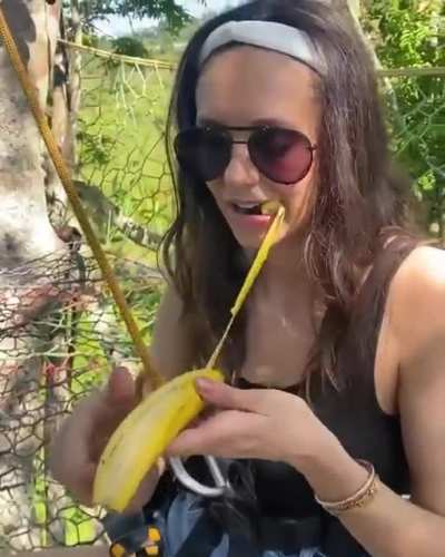 Wanted just the tip