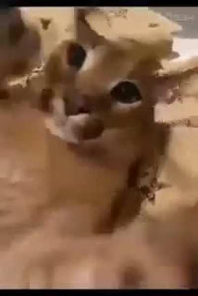 😳😳😳😳😳<wbr>😳