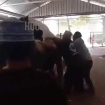 The horse broken