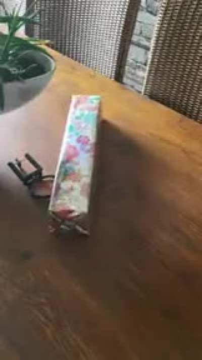 Decidi dar um presentinho para minha namorada. Mas de alguma forma eu o acionei depois de embrulh&aacute;-lo.