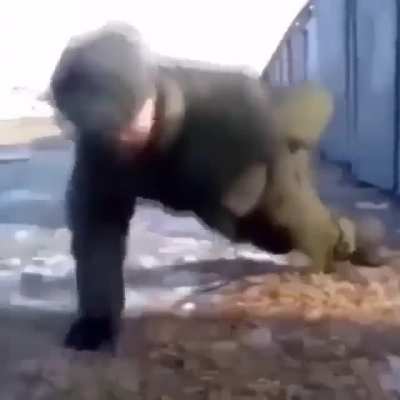 Perfeito