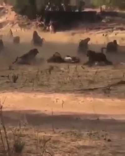 Nature is scary