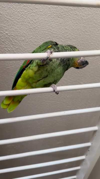 Is that snuffling sound a vet visit?