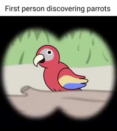 Parrots