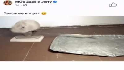 ASMR