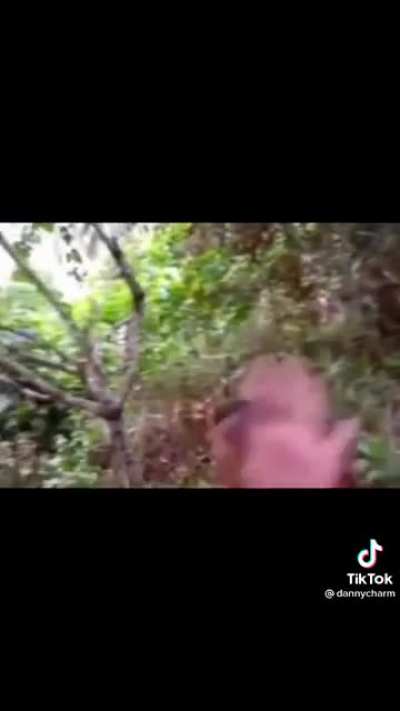 Sorry for the tick toc cringe