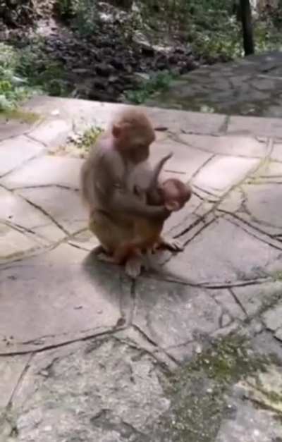 A loving mom and her baby