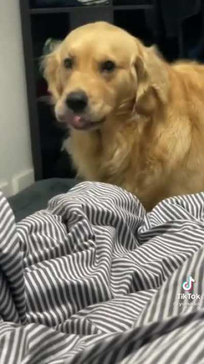 Late