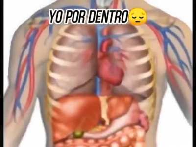 Yo por fuera :)