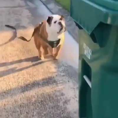 The trash can looked at him funny