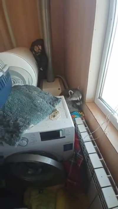 Много смешного мата