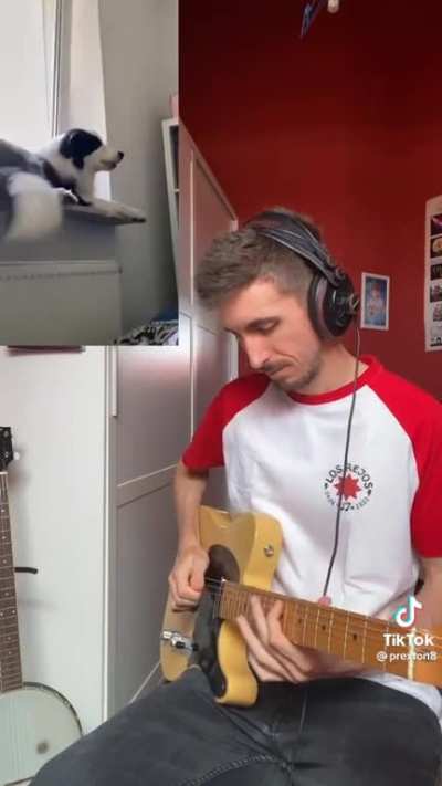 "I play with the guitar what the dog is singing"