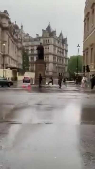 Police horses are loose and knocking over people as they run through the streets of London.