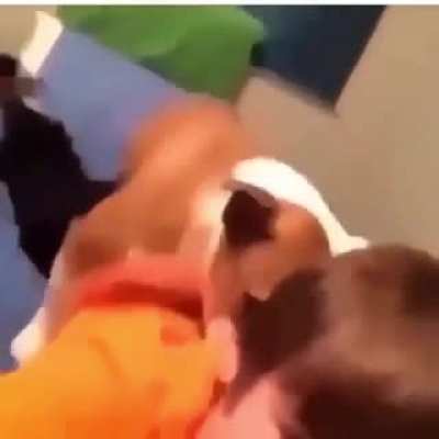 bestiality 😔