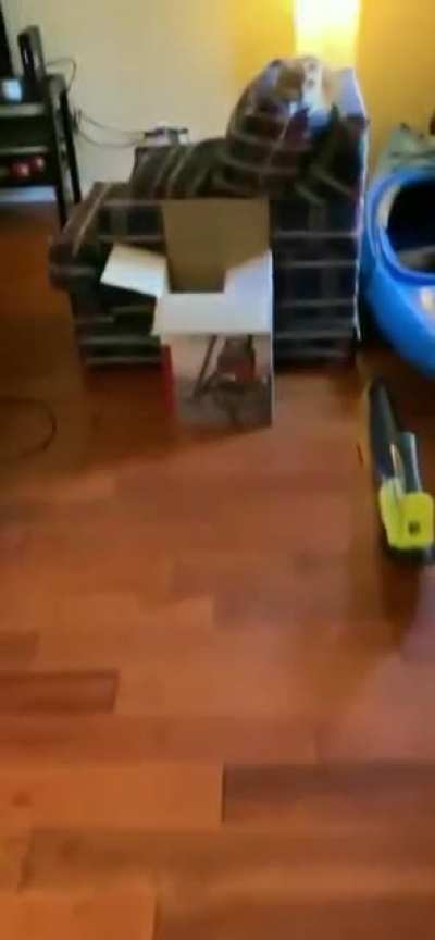 🙀