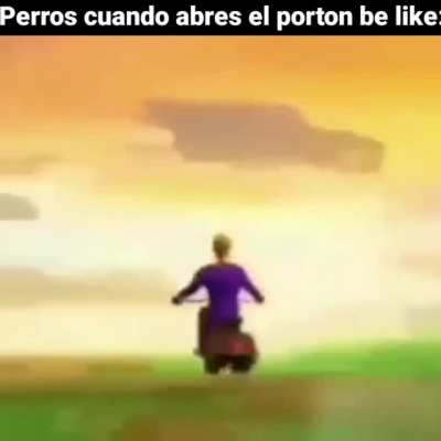Dogs be like: