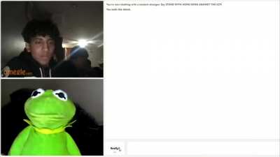 Kermit on Omegle