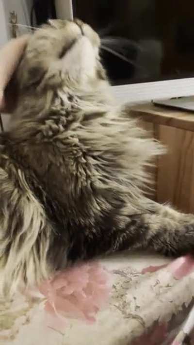 My old lady yells in all her favorite situations. Here: Waking up &amp;amp; noticing she is not alone