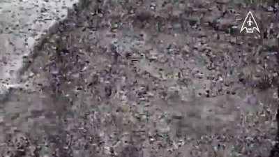 Ukrainian 14th Regiment of UAV Complexes hit Russian infantry with FPV strike drones. Kursk Region - September 2024.