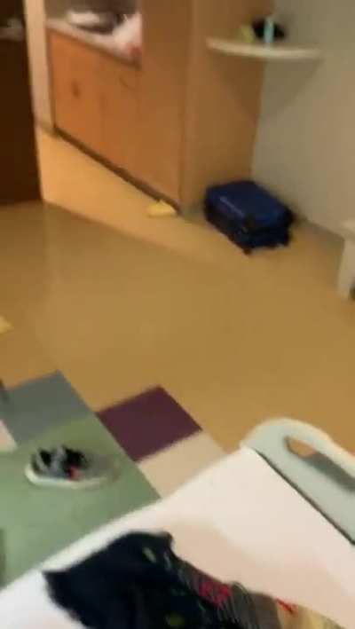 Pawg fucked in a hospital room