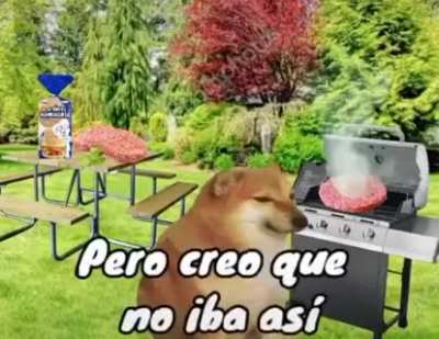 D&iacute;ganle Gracias a Cheems
