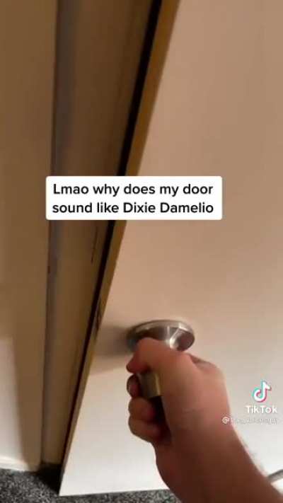 A very normal door