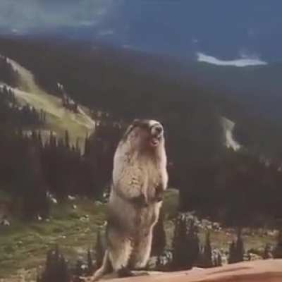 AAAAAAAAAAAAAAAAAAAAAAAAAAAAAAAAAA