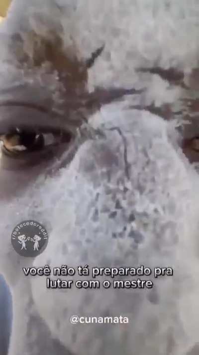 Pq choras Hollywood? 