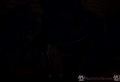 Big Dick GIF by yiffmommy