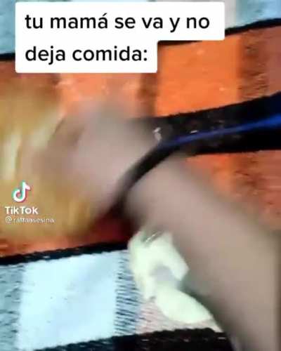 SquarePosting - Video #3571