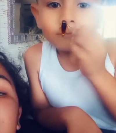Cockroach filter