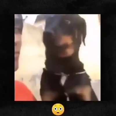 😳